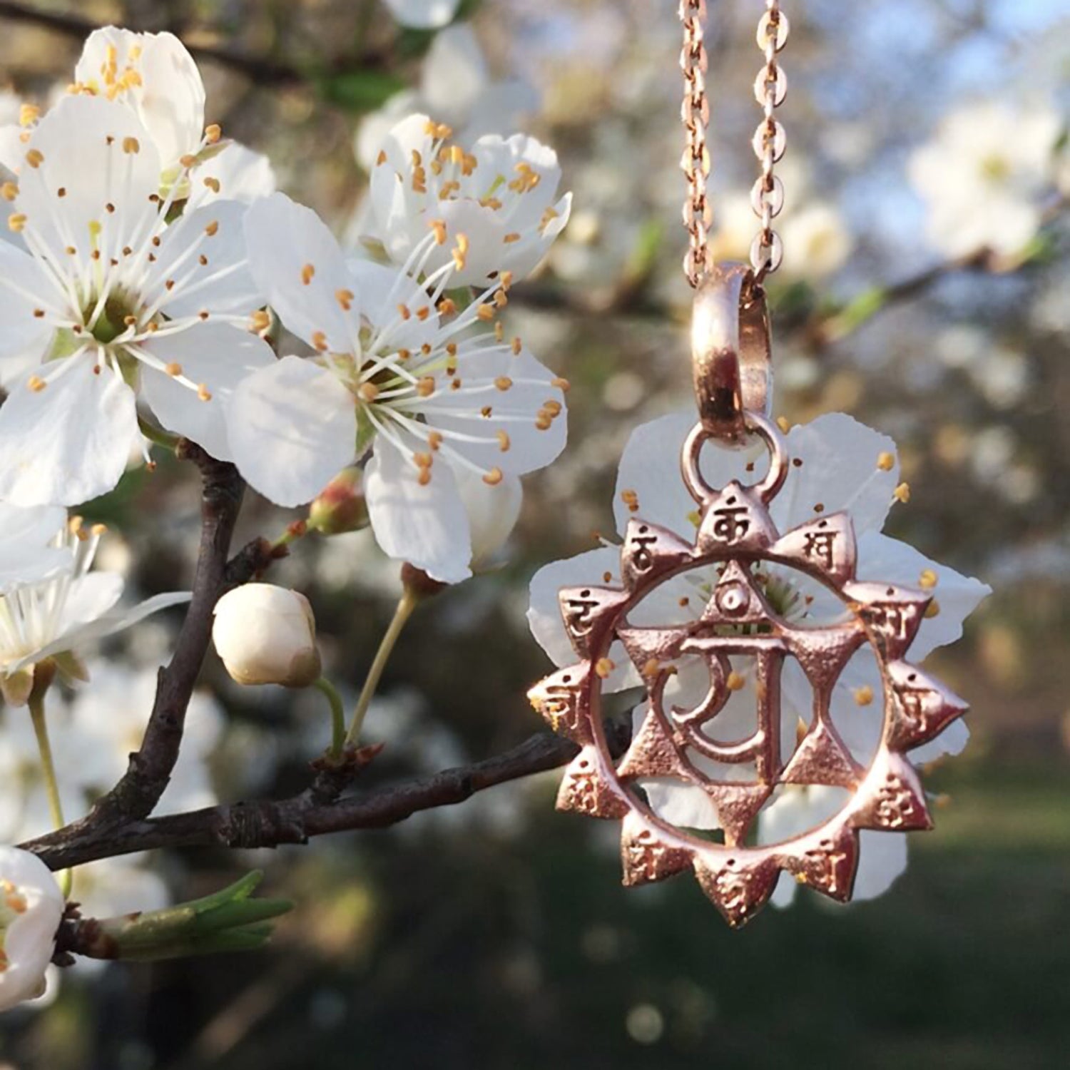 Unser Anahata Chakra Anhänger rosévergoldet mit Kette vor Kirschblüten